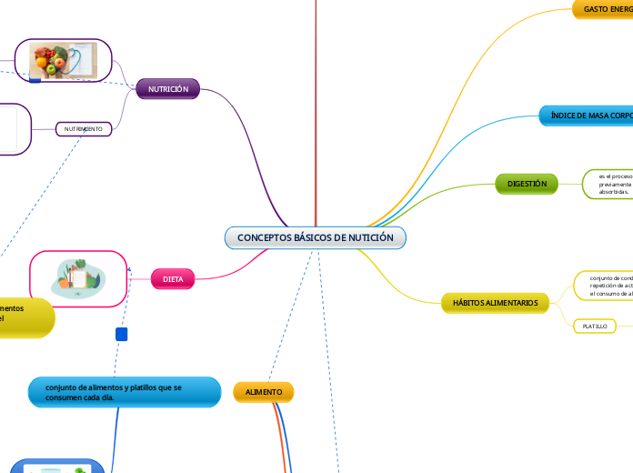 CONCEPTOS BÁSICOS DE NUTICIÓN