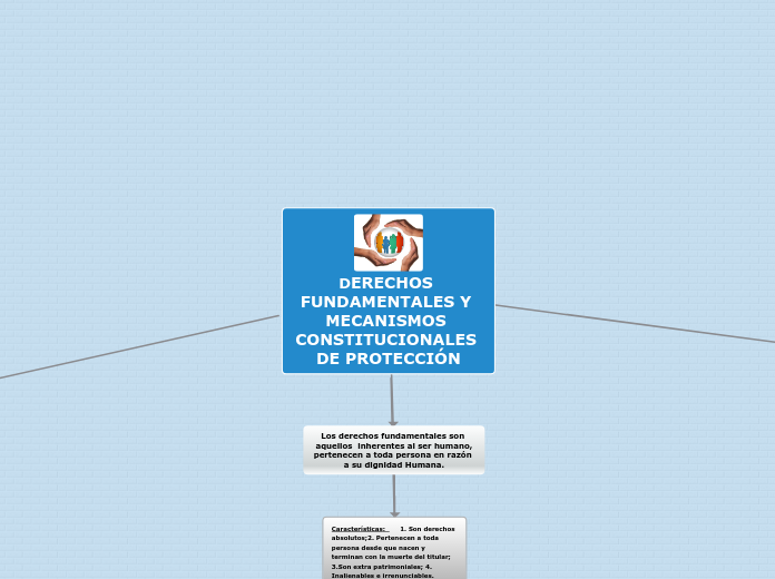 DERECHOS FUNDAMENTALES Y MECANISMOS DE PROTECCIÓN