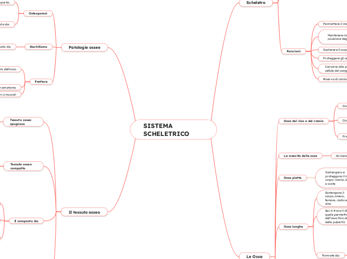 SISTEMA SCHELETRICO