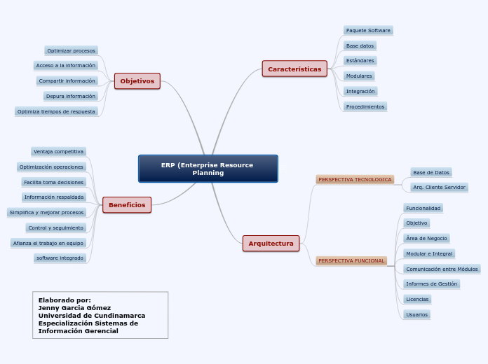 ERP (Enterprise Resource Planning