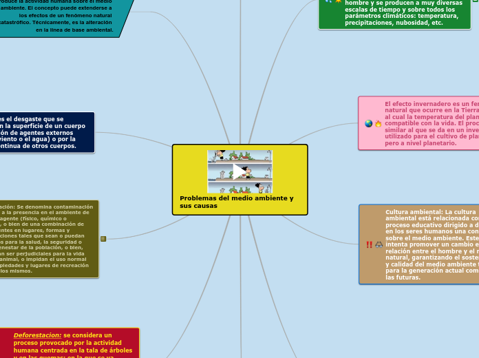 Problemas del medio ambiente y sus causas