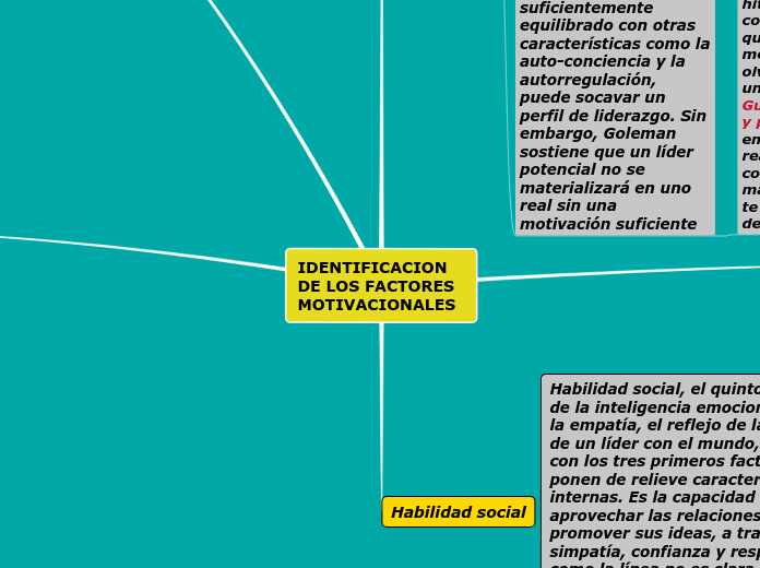 IDENTIFICACION DE LOS FACTORES MOTIVACIONALES