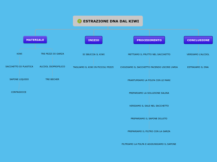 Organigramma