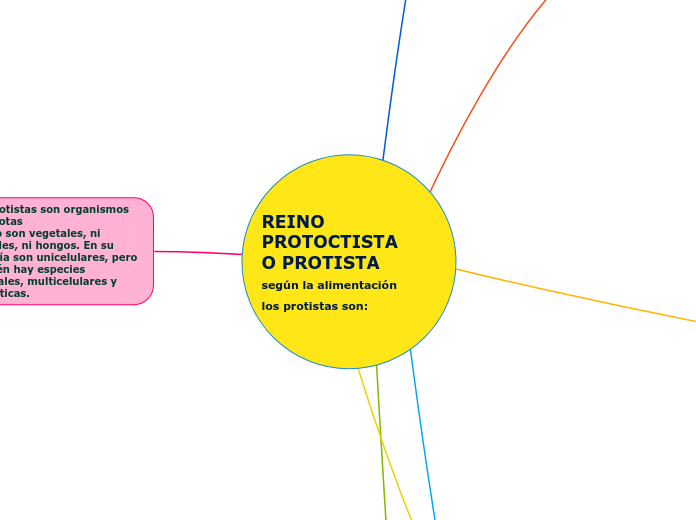 REINO PROTOCTISTA 
O PROTISTA
según la alimentación
los protistas son: