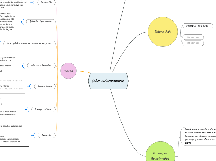 Glándulas Suprarrenales