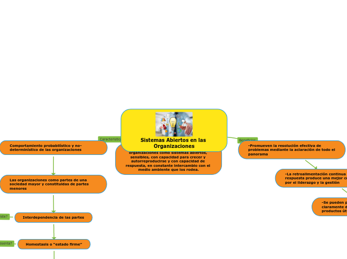 Sistemas Abiertos en las Organizaciones
