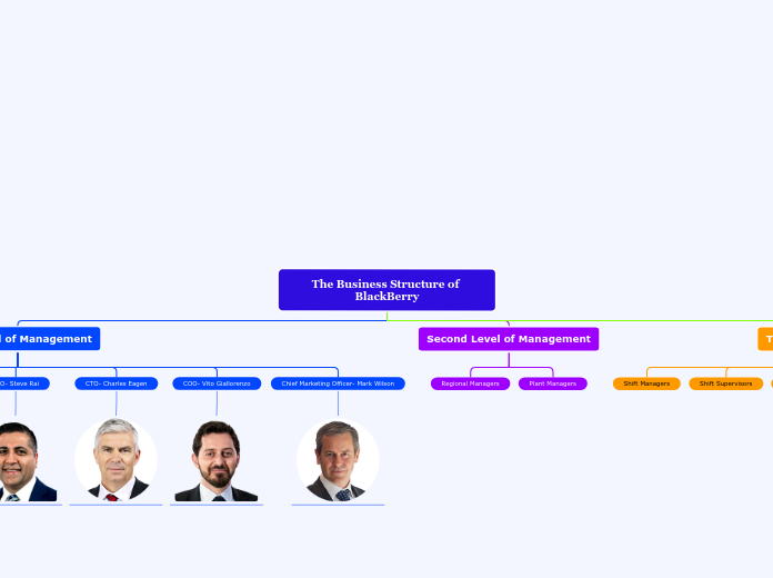 The Business Structure of BlackBerry