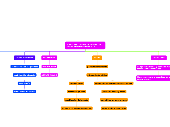 CARACTERIZACIÓN DE IMPUESTOS MUNICIPIO DE BUENAVISTA
