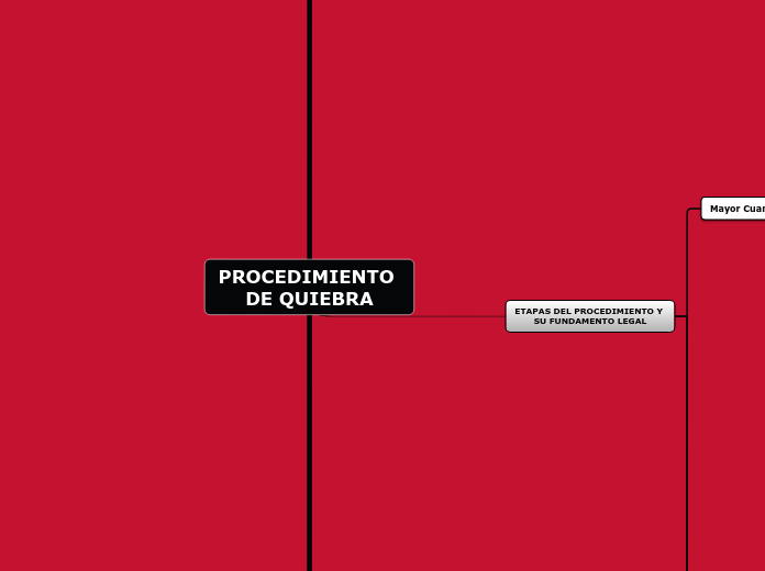 PROCEDIMIENTO DE QUIEBRA