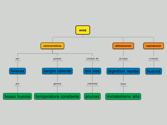 mapa conceptaual aves