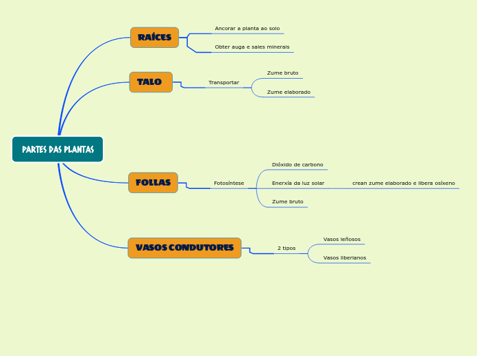 PARTES DAS PLANTAS