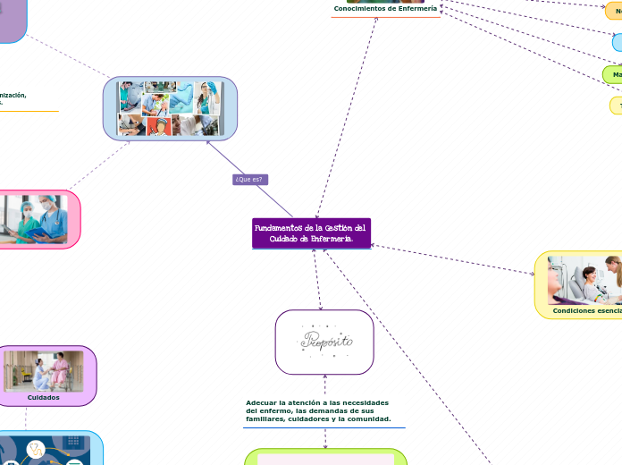 Fundamentos de la Gestión del Cuidado de Enfermería.