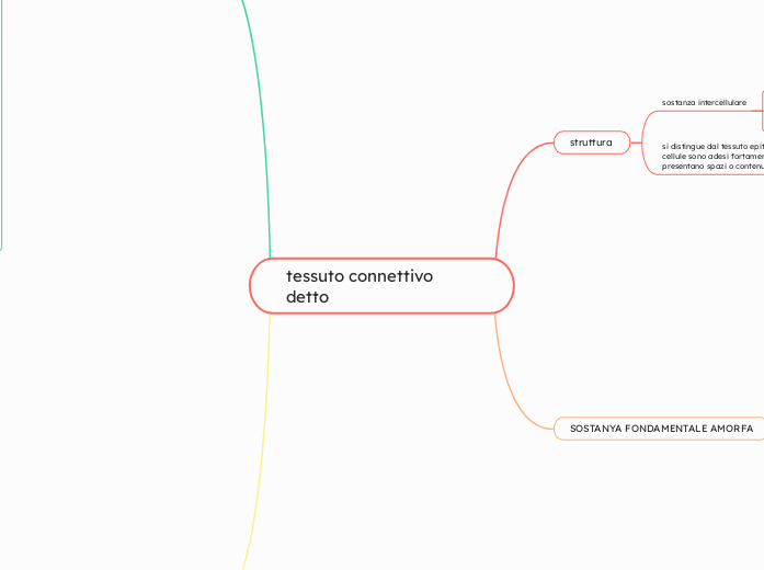 tessuto connettivo detto