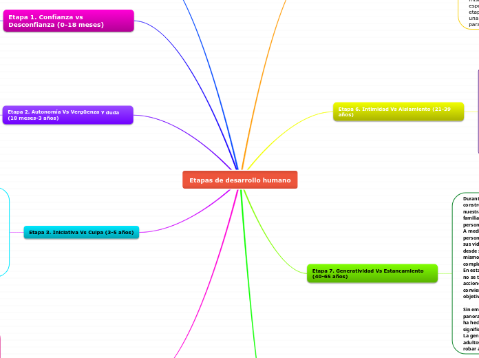 Etapas de desarrollo humano