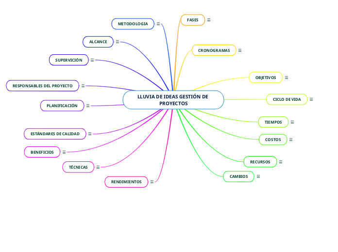 LLUVIA DE IDEAS GESTIÓN DE PROYECTOS