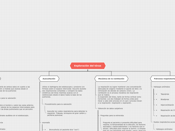 Organigrama arbol