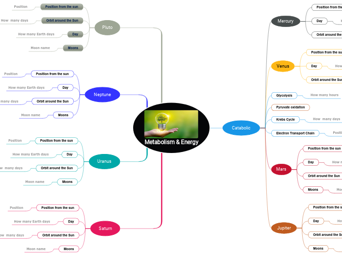 Metabolism & Energy