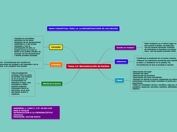 MAPA CONCEPTUAL TEMA 14