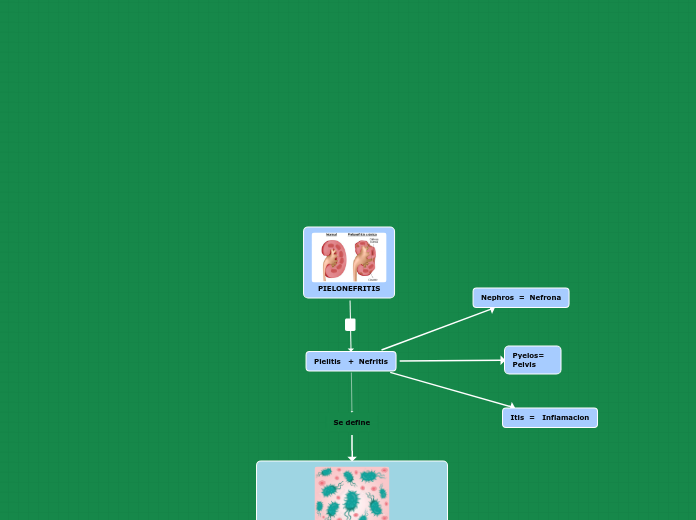 PIELONEFRITIS