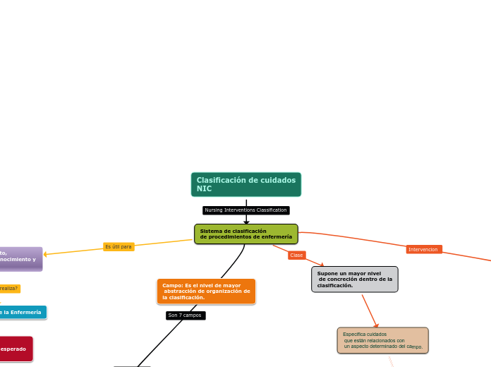 Clasificación de cuidados
NIC