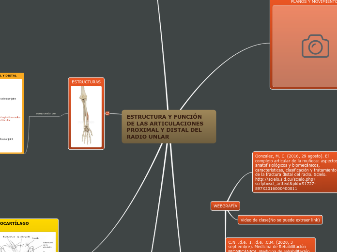 ESTRUCTURA Y FUNCIÓN DE LAS ARTICULACIONES PROXIMAL Y DISTAL DEL RADIO UNLAR