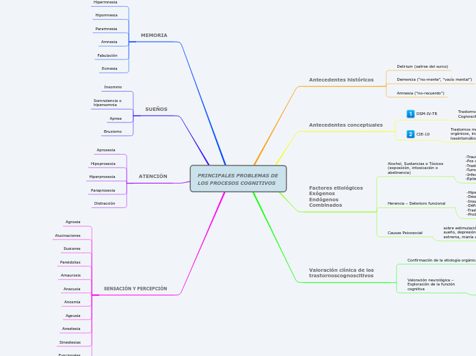 PRINCIPALES PROBLEMAS DE LOS PROCESOS COGNITIVOS