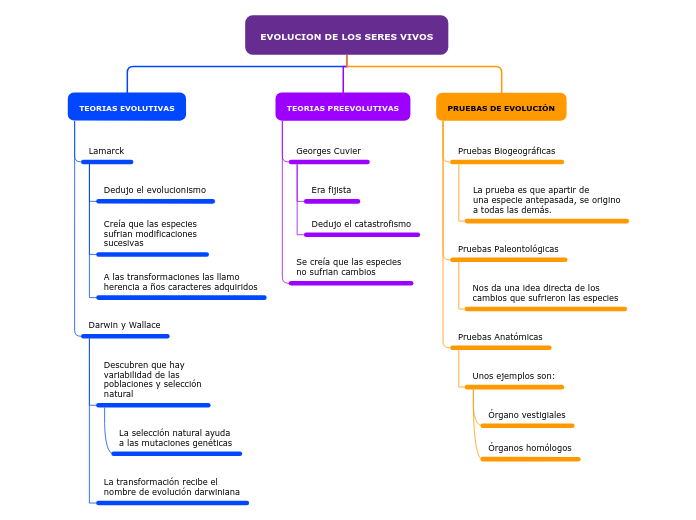 Organigrama arbol