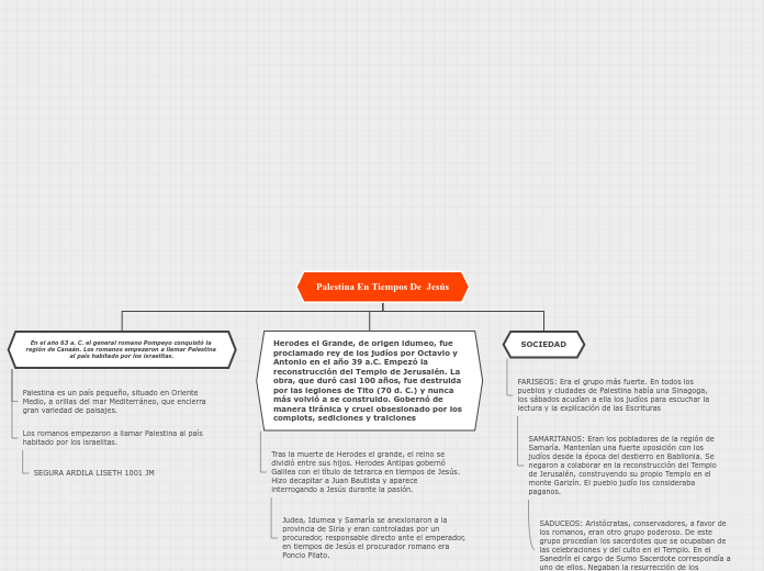 Organigrama arbol