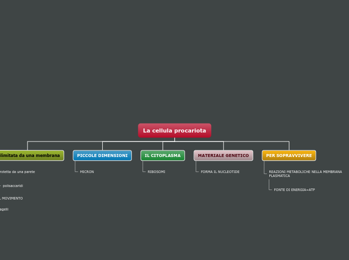 Organigramma ad albero