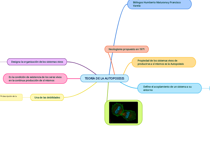 TEORíA DE LA AUTOPOIESIS