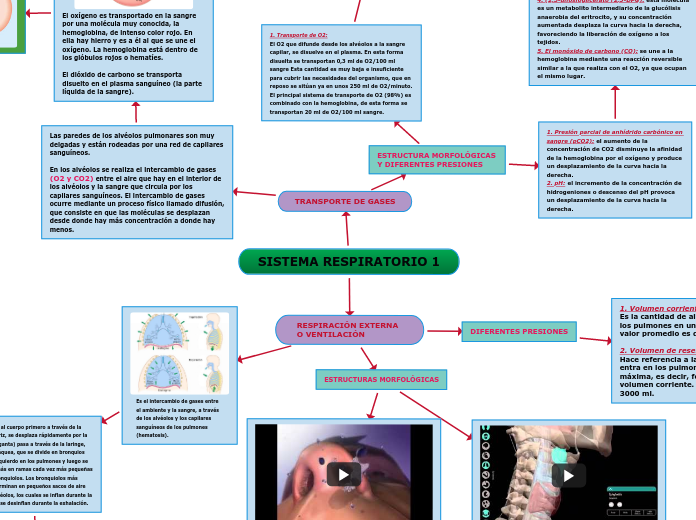 SISTEMA RESPIRATORIO 1