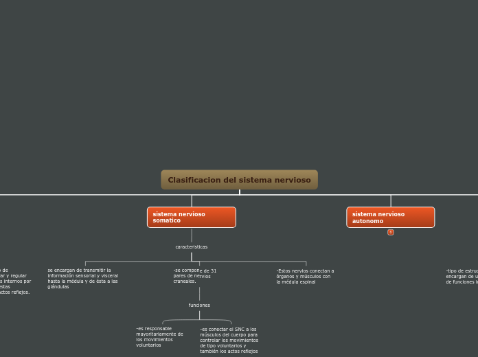 Clasificacion del sistema nervioso