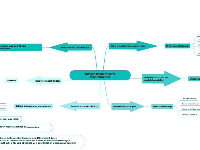 Wirtschaftspolitische Problemfelder