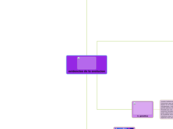 evidencias de la evolucion