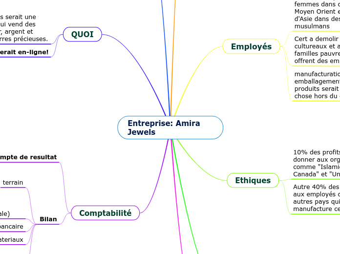 Entreprise: Amira Jewels