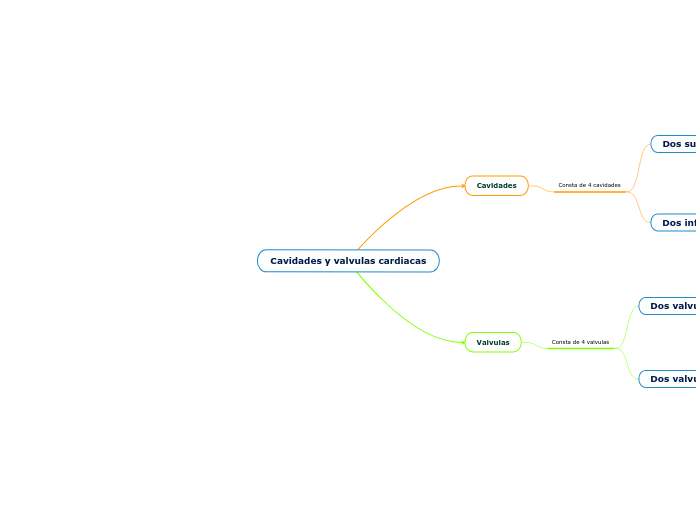 Cavidades y valvulas cardiacas