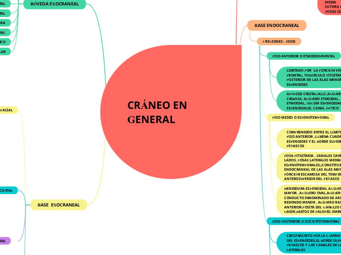 CRÁNEO EN GENERAL