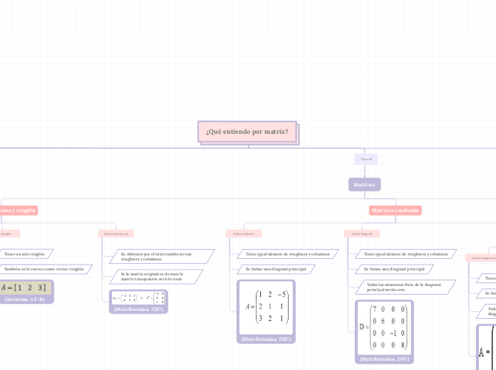 ¿Qué entiendo por matriz?