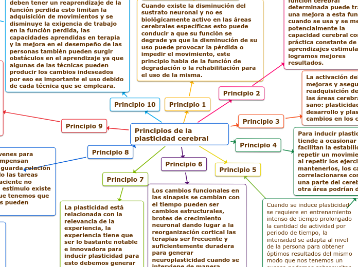 Principios de la plasticidad cerebral