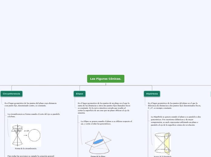 Organigrama arbol