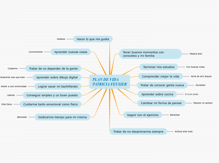 PLAN DE VIDA 
PATRICIA FEUSIER