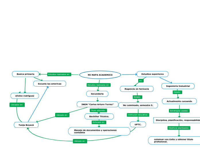 MI MAPA ACADEMICO