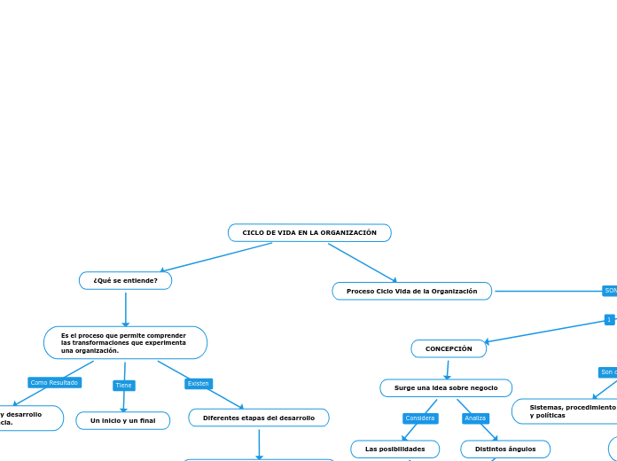 CICLO DE VIDA EN LA ORGANIZACIÓN