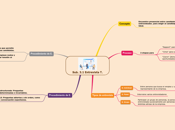 Sub. 3.1 Entrevista T.
