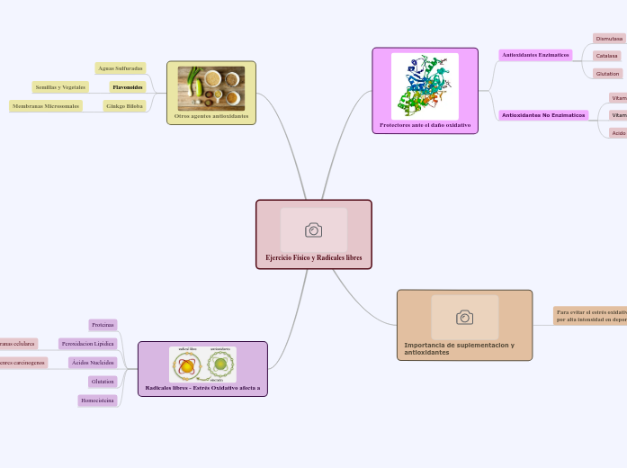 Ejercicio Físico y Radicales libres