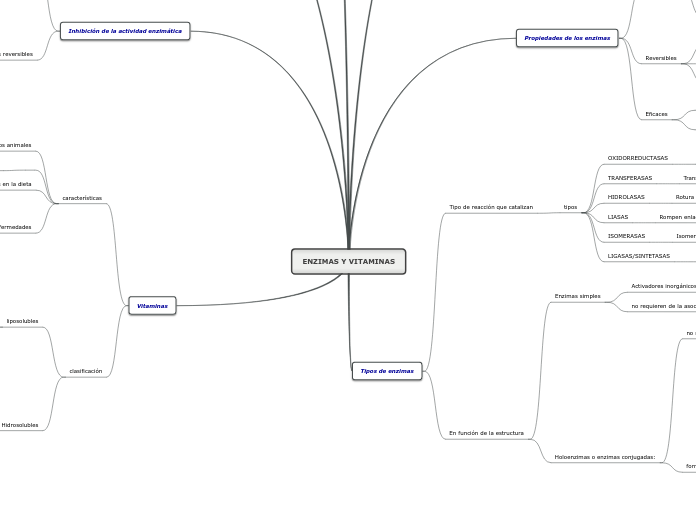 ENZIMAS Y VITAMINAS