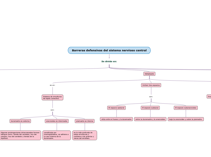 Barreras defensivas del sistema nervioso central