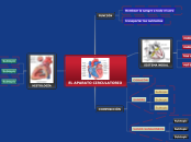 EL APARATO CIRCULATORIO