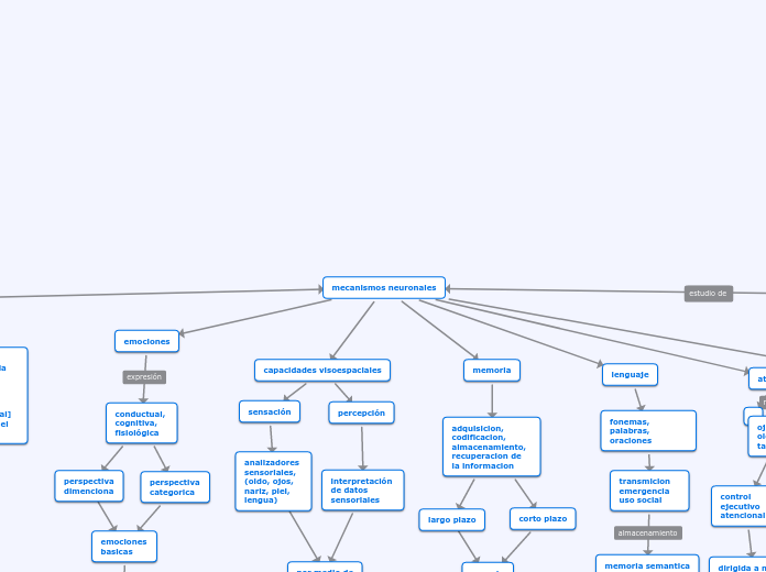 mecanismos neuronales