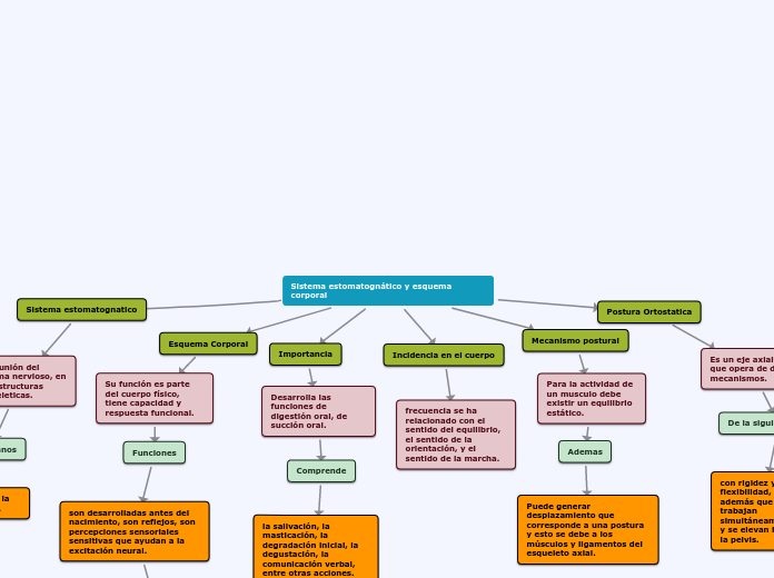 Sistema estomatognático y esquema corporal